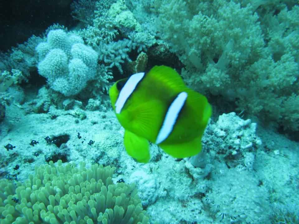 2012_02_16 rotes meer 123.jpg